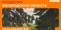 Вологодским волонтерам не хватает голосов для победы - Gorodvo.Ru