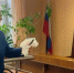 Житель Выгоничского района отправится в колонию за поножовщину - Газета Брянские новости