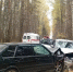 Два человека пострадали в пьяном ДТП на трассе в Удмуртии - Комсомольская Правда