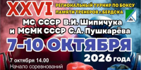 Ринг зовет: в Бердске разыграют медали регионального турнира по боксу - Бердск-Онлайн.Ru