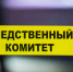 Бастрыкину доложат об обидчиках девочки из Тосненского района    - 47 новостей