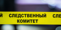 Бастрыкину доложат об обидчиках девочки из Тосненского района    - 47 новостей