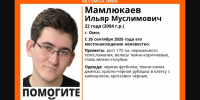 Мамлюков - РИА Омск-информ