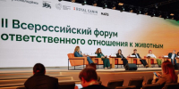 Воронежский муниципальный приют стал лауреатом Всероссийской премии по защите животных - ВестиПК в Воронеже