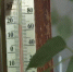 -5°С и туман ожидаются в ближайшие 3 дня в Ивановской области - ГТРК
