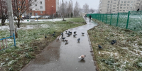 Снег накроет резко и без стука: первые регионы, которые замерзнут уже в ближайшие дни - Pg12.Ru