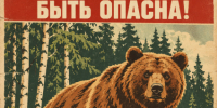 Минусинцам не советуют есть медвежатину: чем опасно мясо. - Администрация