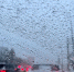 В Самаре 3 октября прогнозируют до +6 °C - SamaraGIS.Ru