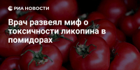 крупный план красных спелых помидоров с зелёными плодоножками на фоне, поверх — логотип и заголовок - 168.Ru