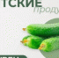 Вятские продукты: огурец – свежесть и польза с кировских грядок - Министерство промышленности, предпринимательства и торговли