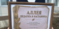 В гимназии № 63 появилась Аллея роз — подарок преподавателям от учеников. - Город Курск