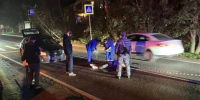 Водитель впал в шок после того, как насмерть сбил женщину в Ольгино. Его успокоила только Росгвардия - 47 новостей