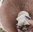 d6qd1s8n28yrr4u7u1g4hj6w9v7p603d - Novosti-Saratova.Ru