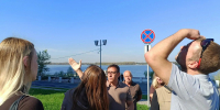 Проблемы пернатых. Почему в Самаре массово гибнут птицы - Самарская Газета