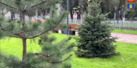 Проспект Металлургов обновили в Волгограде: появились дорожки, площадка и зона для собак - Volganet.Net