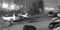 В Новокузнецке неадекват мучил собаку под камерой домофона (ВИДЕО) - ИА Город Новостей