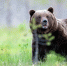 Фото: Piotr Krzeslak/Shutterstock/Fotodom - Ямал-Медиа