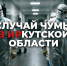 Случай чумы в Иркутской области: что известно о ситуации к утру 3 октября Создано при помощи ИИ - AmurMedia.Ru