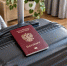 Россиянам назвали страны, куда можно отправиться без загранпаспорта - Spbdnevnik.ru