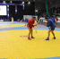 Спортивно провести выходные приглашают жителей края - Министерство спорта