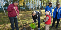 У школы №10 в Серпухове высадили клёны - ОТВ-Серпухов