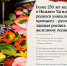 Нижнетагильский подносный промысел отмечает 280-летие и претендует на звание «Достояния Среднего Урала» - Общественная палата