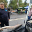 Болдакин оценил 25-килограммового сома на ярмарке в Ульяновске - Ulyanovsk.Express