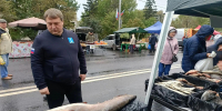 Болдакин оценил 25-килограммового сома на ярмарке в Ульяновске - Ulyanovsk.Express