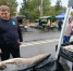 На ульяновской сельхозярмарке продают гигансткого сома весом 25 кг - Комсомольская правда