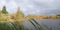Осень. Озеро. Серое небо - Петрозаводск говорит