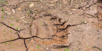 Фото: Pavel Vatsura/Shutterstock/Fotodom - Ямал-Медиа