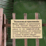 «Не является историческим памятником»: мечеть «Рафик» ждет третье воплощение - ИА Татар-информ