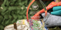 Активисты волонтёрских движений Белгородского округа получили заслуженные награды - Сетевое издание Знамя 31