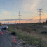 Водитель сбил лося в Балахнинском округе - ГТРК Нижний Новгород