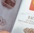 Перечислены страны, куда россияне могут поехать без загранпаспорта - Info-Rm.Com
