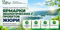 «Предлагайте проекты - поддержим»: в Ленобласти ищут экологические инициативы для реализации - Кингисепп-сегодня.рф