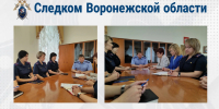 В региональном следственном управлении состоялось заседание Женского совета - Следственный комитет