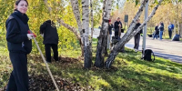 Красноярские спасатели убрали опавшую листву на острове Татышеве - Комсомольская Правда