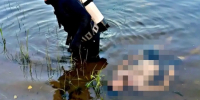 Трагедия на воде под Волгоградом: мужчина пропал во время купания - Блокнот Волжского