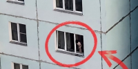 Ребёнка заметили на подоконнике четвёртого этажа в Новосибирске - Gorsite.Ru
