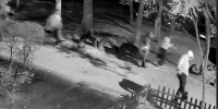 «Смотрите, что творят ваши «детки"»: подростки разгромили воронежский двор и попали на видео - Bloknot-Voronezh.Ru