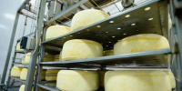Оренбуржье экспортировало продукцию АПК на 370 млн долларов - Газета Оренбуржье