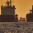 Фото: Artic_photo/Shutterstock/Fotodom - Ямал-Медиа