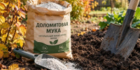 Что такое доломитовая мука и чем она полезна - МОЁ! Online