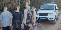 В Киришском районе искали трех подростков, ушедших на болото за клюквой - 47 новостей