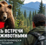 В крае участились случаи встреч людей с дикими животными, в том числе в лесных массивах и вблизи населенных пунктов - Администрация Хабаровского района
