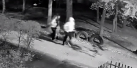 Подростки под камерами разгромили двор дома на улице Артамонова в Воронеже - ГТРК Воронеж