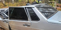 В Кировской области упавшее на машину дерево покалечило водителя и пассажира - Prochepetsk.ru