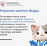 Что нужно знать о переломе шейки бедра, рассказали псковичам в Минздраве - Pln-Pskov.Ru