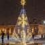 Елка новогодняя, фото: сайт Госзакупок - Ural56.Ru